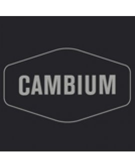 Cambium